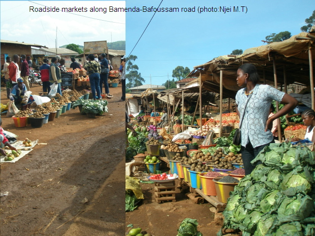 Roadside Food Markets (photo:Njei M.T)